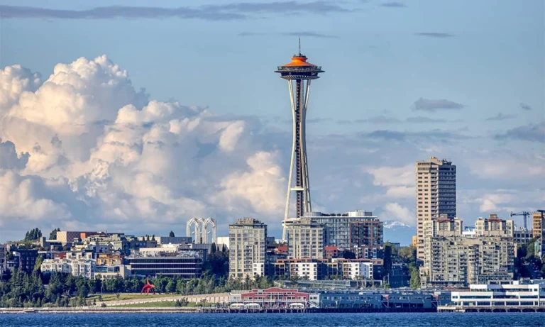 seattle needle